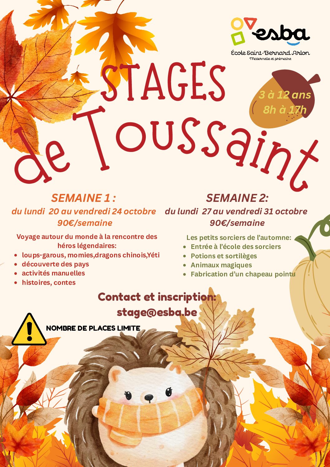 Stage de Toussaint