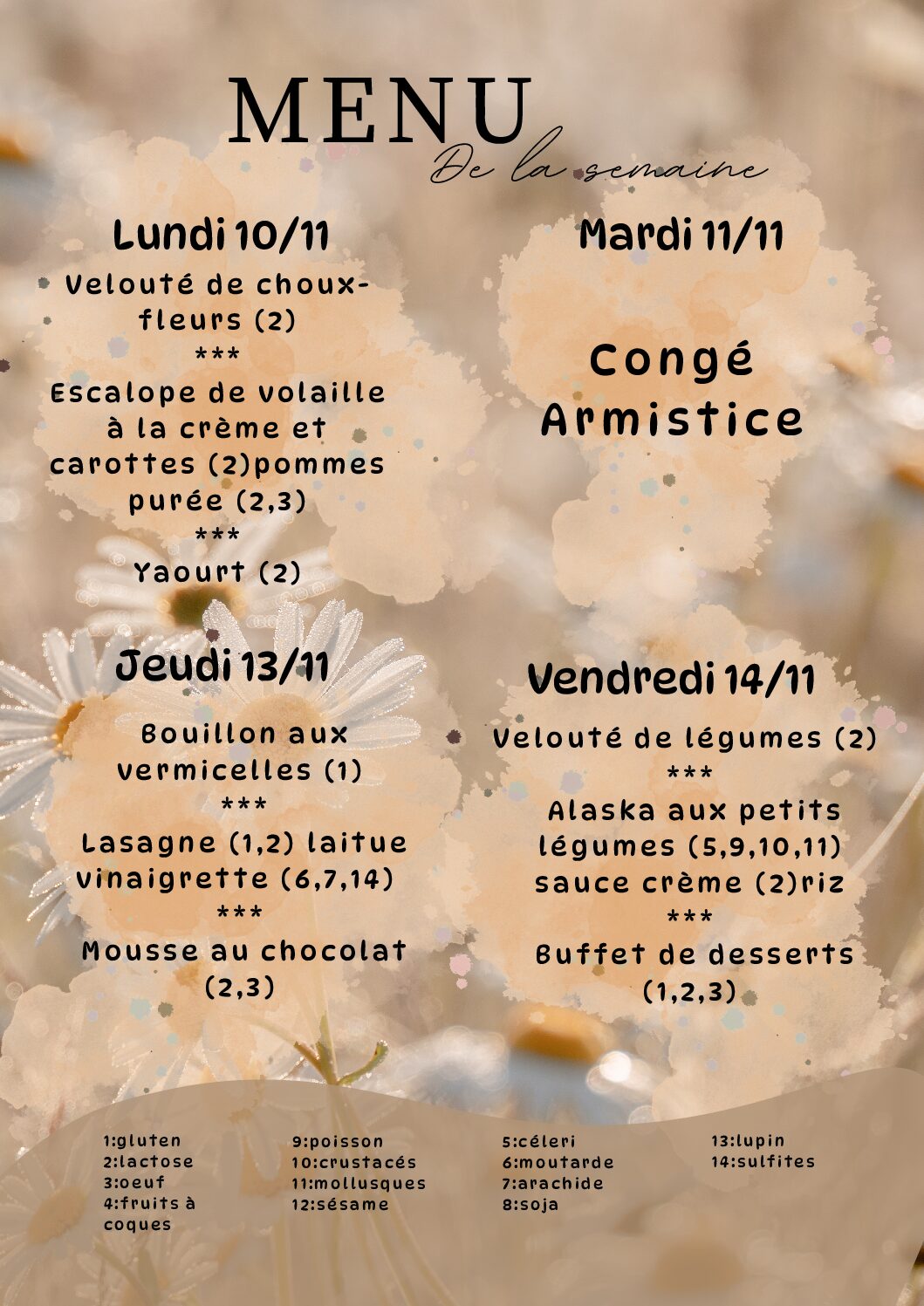 Menu du 10/11/2025 au 14/11/2025