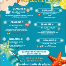 Stages d&rsquo;été