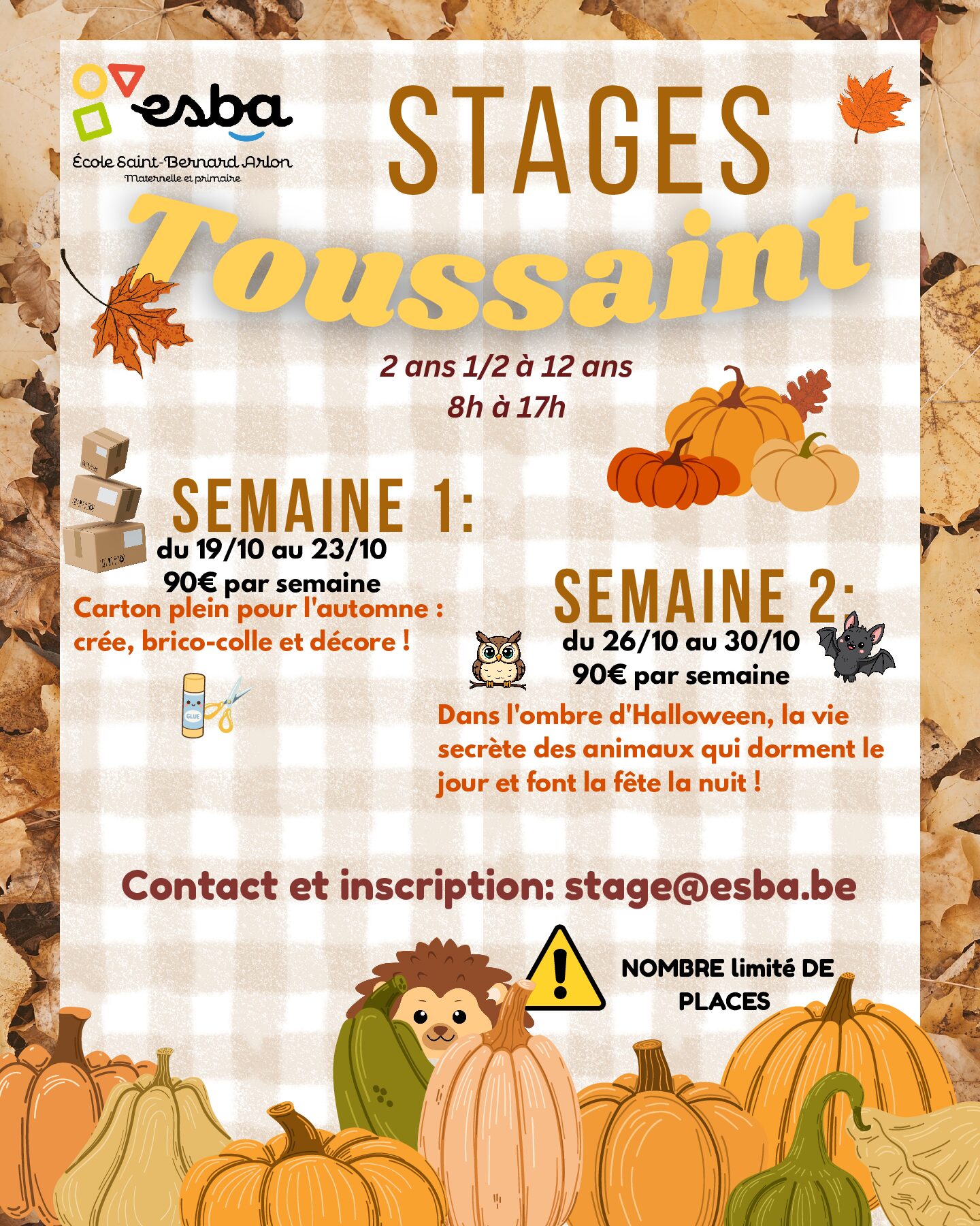 Stages de Toussaint